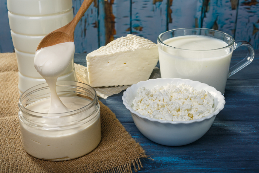 Milchprodukte-Stillleben mit Milch, Joghurt/Quark und Hüttenkäse.